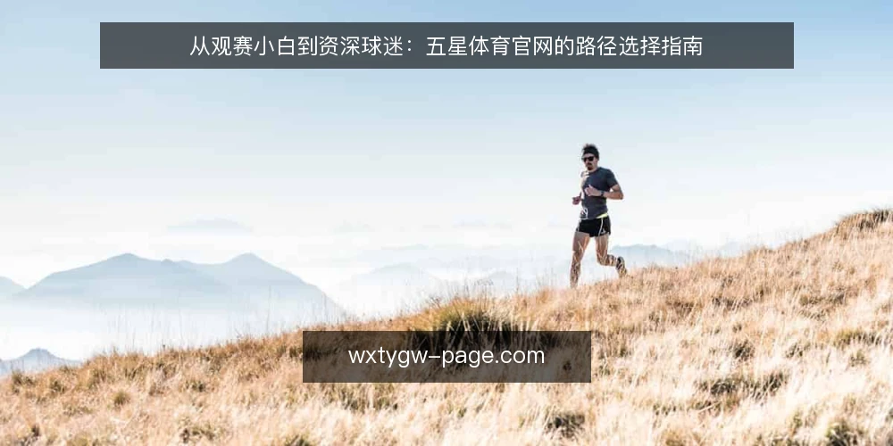 从观赛小白到资深球迷:五星体育官网的路径选择指南 — 明确观赛需求与决策标准 配图