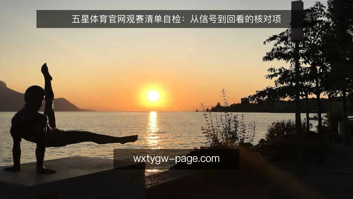 五星体育官网观赛清单自检:从信号到回看的核对项
