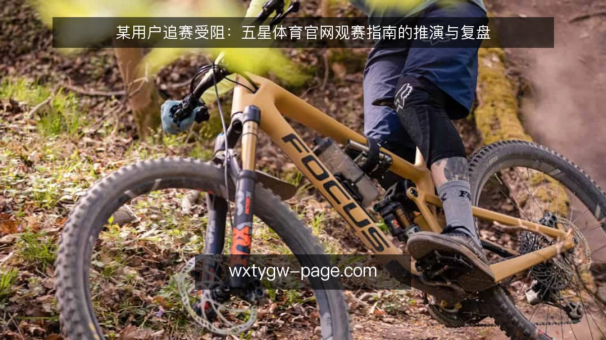 某用户追赛受阻:五星体育官网观赛指南的推演与复盘
