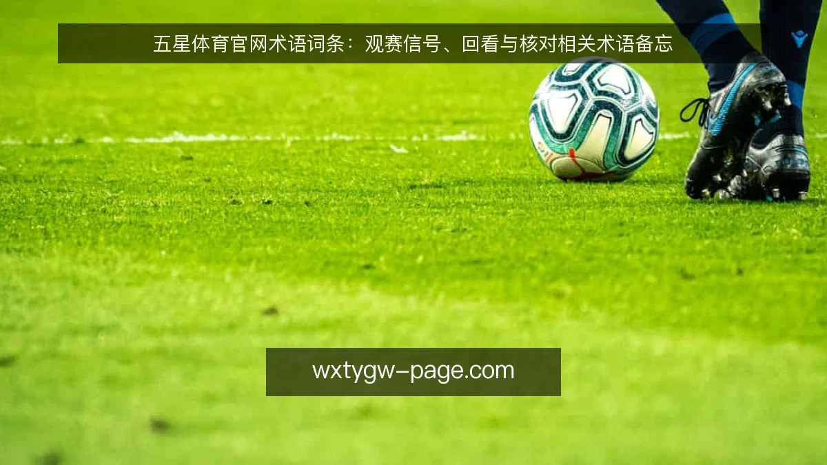五星体育官网术语词条:观赛信号、回看与核对相关术语备忘