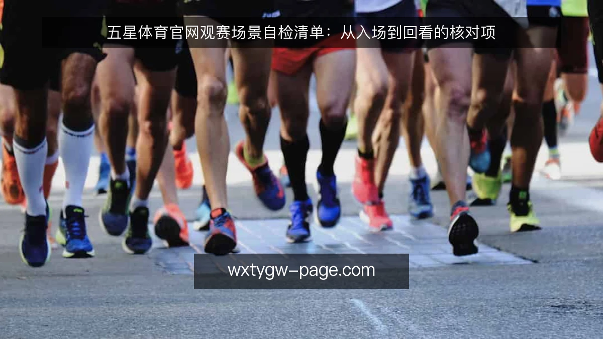 五星体育官网观赛场景自检清单:从入场到回看的核对项
