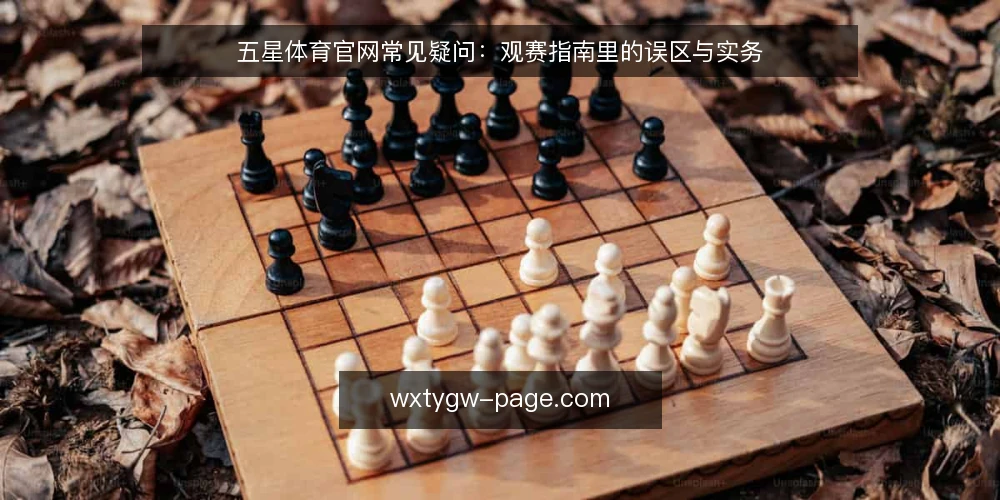 五星体育官网常见疑问:观赛指南里的误区与实务 — 为什么观赛指南里的问题总在赛前才暴露? 配图