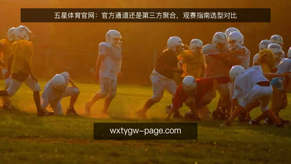 五星体育官网:官方通道还是第三方聚合,观赛指南选型对比