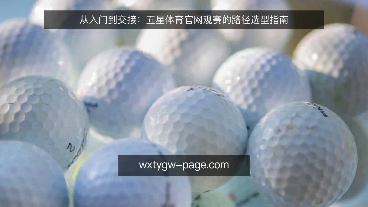 从入门到交接:五星体育官网观赛的路径选型指南